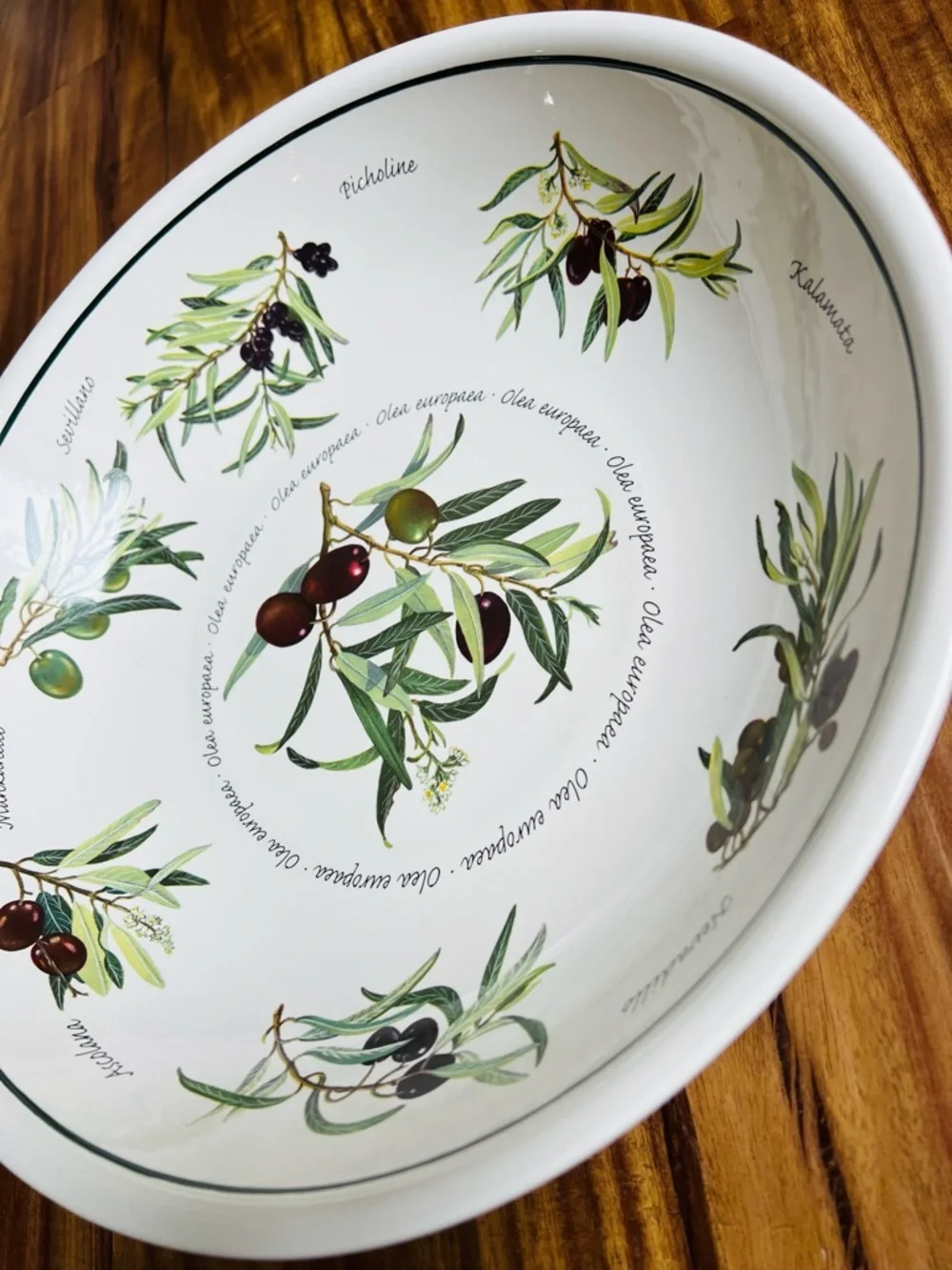 RETIRED Williams-Sonoma Olea Europaea Olive Pattern 13